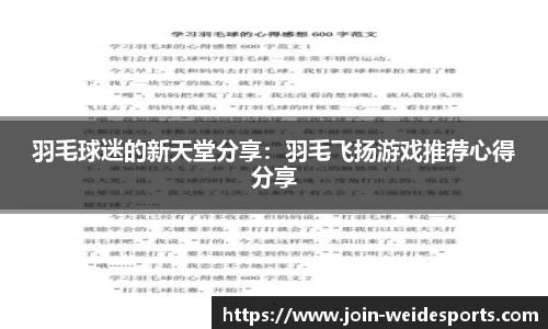 羽毛球迷的新天堂分享：羽毛飞扬游戏推荐心得分享